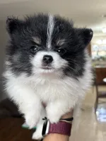 processed/5ecc49b0-f869-424e-8918-85a556a8a018/listing/acbea19e-7f1f-4567-8627-ccc44ebe4770/0e7e9bd3-6903-4111-b98f-965d25d5f209