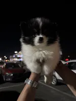 processed/5ecc49b0-f869-424e-8918-85a556a8a018/listing/acbea19e-7f1f-4567-8627-ccc44ebe4770/32a67996-8de9-470c-a79f-0833ee3c587b