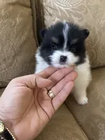 processed/5ecc49b0-f869-424e-8918-85a556a8a018/listing/acbea19e-7f1f-4567-8627-ccc44ebe4770/59a9f72a-f578-41d7-9d4a-d8a749cc503c