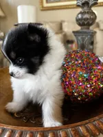 processed/5ecc49b0-f869-424e-8918-85a556a8a018/listing/acbea19e-7f1f-4567-8627-ccc44ebe4770/605669b9-40e2-4241-b29e-994a901fd266