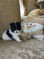 processed/5ecc49b0-f869-424e-8918-85a556a8a018/listing/acbea19e-7f1f-4567-8627-ccc44ebe4770/78b214da-bb29-43e9-970b-a8088703cf36