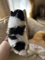 processed/5ecc49b0-f869-424e-8918-85a556a8a018/listing/acbea19e-7f1f-4567-8627-ccc44ebe4770/9d9effb1-1ef6-406a-a05e-75e68f12213f