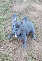 processed/5ed498d0-3188-47d3-acd0-7ec50240a0ea/listing/0c5e97b9-ebff-4c79-b13c-e5849b037202/9d335e77-b231-4053-80e5-8001ef68b7af