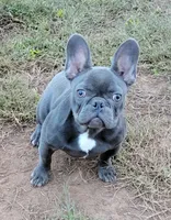 processed/5ed498d0-3188-47d3-acd0-7ec50240a0ea/listing/0c5e97b9-ebff-4c79-b13c-e5849b037202/a2098d0d-9558-400a-85b4-bfe3261b72a2