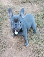 processed/5ed498d0-3188-47d3-acd0-7ec50240a0ea/listing/0c5e97b9-ebff-4c79-b13c-e5849b037202/a7f3aded-efcc-4c6e-9a36-ba7a17d4a011