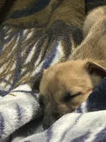 processed/5ed51e82-909d-44d9-b52c-06bec5e36bec/listing/0b8b1bc7-df84-4054-a1b7-92f66fed789d/1cf5bed4-801f-4b36-9301-813521fad884