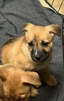 processed/5ed51e82-909d-44d9-b52c-06bec5e36bec/listing/3d38e593-c06a-4764-a755-a72389de049f/cbd1bb6f-9c12-4ff4-b896-dc8532be5208