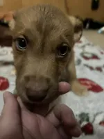 processed/5ed51e82-909d-44d9-b52c-06bec5e36bec/listing/f6b18a6c-298d-49d0-94d3-ecdb8fd51e56/ca653145-469a-4a95-bcb6-41394ef5d1e6