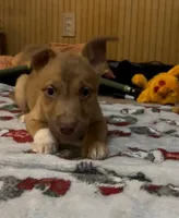 processed/5ed51e82-909d-44d9-b52c-06bec5e36bec/listing/f6b18a6c-298d-49d0-94d3-ecdb8fd51e56/f2a72eae-d576-4b77-b64f-d45bbe07cfb2