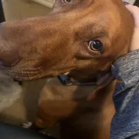 processed/5edd464c-40f8-43db-85ed-4cf713bc2e79/facility/47eb26fb-8e75-48ff-8563-711a889739a0