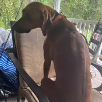 processed/5edd464c-40f8-43db-85ed-4cf713bc2e79/facility/4bdde552-fdac-41a1-8e36-4ed83ed4fd6a