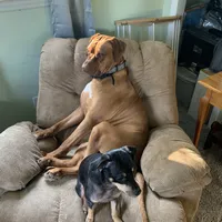 processed/5edd464c-40f8-43db-85ed-4cf713bc2e79/facility/4d153c25-1d64-4ece-aa0a-317219eb6cfe