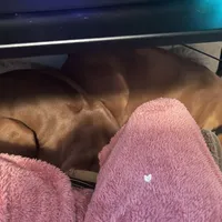 processed/5edd464c-40f8-43db-85ed-4cf713bc2e79/facility/9acc9812-35fe-40bc-aa6c-37a643c9d825