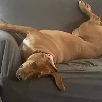 processed/5edd464c-40f8-43db-85ed-4cf713bc2e79/facility/b25cc561-e5b3-477a-895c-bc27069e479b