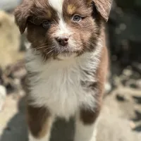 processed/5ee11d29-23ad-4780-b2f0-213b3353dc56/facility/09838fb9-e99a-4b1c-aa3b-d5b47ca8b660