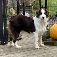 processed/5ee11d29-23ad-4780-b2f0-213b3353dc56/facility/17840134-5918-4679-b349-2511f042f92f