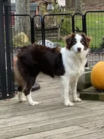 processed/5ee11d29-23ad-4780-b2f0-213b3353dc56/facility/17840134-5918-4679-b349-2511f042f92f