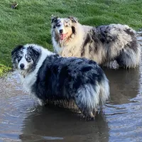 processed/5ee11d29-23ad-4780-b2f0-213b3353dc56/facility/1dd82a23-9ced-4e06-9943-a5935f71847b