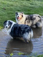 processed/5ee11d29-23ad-4780-b2f0-213b3353dc56/facility/1dd82a23-9ced-4e06-9943-a5935f71847b