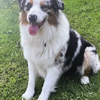 processed/5ee11d29-23ad-4780-b2f0-213b3353dc56/facility/3dba9f95-2dd7-4b6c-bf04-a05f4ccb7ea4