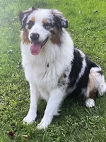 processed/5ee11d29-23ad-4780-b2f0-213b3353dc56/facility/3dba9f95-2dd7-4b6c-bf04-a05f4ccb7ea4