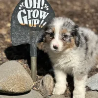 processed/5ee11d29-23ad-4780-b2f0-213b3353dc56/facility/541218ad-de8f-4e5f-b9e0-d5efe7900d8c