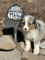 processed/5ee11d29-23ad-4780-b2f0-213b3353dc56/facility/541218ad-de8f-4e5f-b9e0-d5efe7900d8c