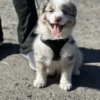 processed/5ee11d29-23ad-4780-b2f0-213b3353dc56/facility/7ae109df-1035-42d2-8a4c-0218e12b6f0f