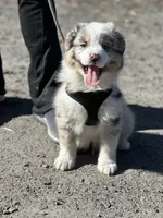 processed/5ee11d29-23ad-4780-b2f0-213b3353dc56/facility/7ae109df-1035-42d2-8a4c-0218e12b6f0f