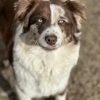 processed/5ee11d29-23ad-4780-b2f0-213b3353dc56/facility/a962072b-0af0-4ef2-b448-4782fdc3f3ed