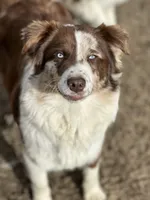 processed/5ee11d29-23ad-4780-b2f0-213b3353dc56/facility/a962072b-0af0-4ef2-b448-4782fdc3f3ed