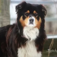 processed/5ee11d29-23ad-4780-b2f0-213b3353dc56/facility/dadd657a-11ad-4648-9aa8-0aa5c494e3c6