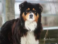 processed/5ee11d29-23ad-4780-b2f0-213b3353dc56/facility/dadd657a-11ad-4648-9aa8-0aa5c494e3c6