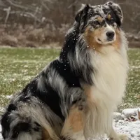 processed/5ee11d29-23ad-4780-b2f0-213b3353dc56/facility/f1b3343a-6ddd-4578-ae9d-3f985cd91d26