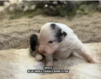 processed/5ee11d29-23ad-4780-b2f0-213b3353dc56/listing/2c175fdc-7838-4b58-ac01-adb61741b011/4cf0f176-d0f8-42ea-acdb-c206a6eee5bd