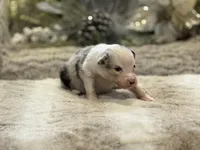 processed/5ee11d29-23ad-4780-b2f0-213b3353dc56/listing/2c175fdc-7838-4b58-ac01-adb61741b011/b0cefd1a-8364-4cf6-8dba-54e69672539e