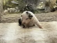 processed/5ee11d29-23ad-4780-b2f0-213b3353dc56/listing/2c175fdc-7838-4b58-ac01-adb61741b011/ce67cce7-d7a3-4eef-a3ce-598091f006c3