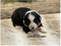 processed/5ee11d29-23ad-4780-b2f0-213b3353dc56/listing/4067cec2-720c-4c22-a558-9b33a77c4cb1/00e64bbc-8e7c-4ded-97c0-2b07198a41a3