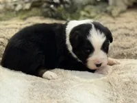 processed/5ee11d29-23ad-4780-b2f0-213b3353dc56/listing/4067cec2-720c-4c22-a558-9b33a77c4cb1/0a824284-b6db-4302-93d7-83466425a352