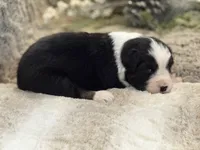 processed/5ee11d29-23ad-4780-b2f0-213b3353dc56/listing/4067cec2-720c-4c22-a558-9b33a77c4cb1/52819b63-4e45-4dca-bd69-3e8b64d64fa3