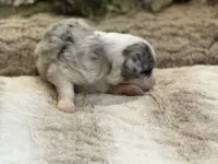 processed/5ee11d29-23ad-4780-b2f0-213b3353dc56/listing/65ea5b04-f02d-44c6-8a98-12e7619043a7/4d579f6e-3cf7-4ac1-bf5f-f227a9b6427d