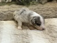 processed/5ee11d29-23ad-4780-b2f0-213b3353dc56/listing/65ea5b04-f02d-44c6-8a98-12e7619043a7/67876348-e8e4-46ab-8f13-81aa79b72b7f