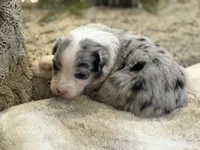 processed/5ee11d29-23ad-4780-b2f0-213b3353dc56/listing/65ea5b04-f02d-44c6-8a98-12e7619043a7/7ae78cae-c823-46af-8df3-84cefb8bdb5e