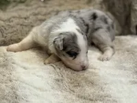 processed/5ee11d29-23ad-4780-b2f0-213b3353dc56/listing/65ea5b04-f02d-44c6-8a98-12e7619043a7/8f1d4fe7-1072-4c35-abff-592848af963e