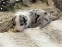 processed/5ee11d29-23ad-4780-b2f0-213b3353dc56/listing/65ea5b04-f02d-44c6-8a98-12e7619043a7/bd0c1462-cad7-475b-aaeb-31baa6772a51