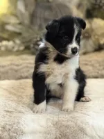 processed/5ee11d29-23ad-4780-b2f0-213b3353dc56/listing/977ad323-9ae9-4d32-a70e-773ffc167440/04f249a7-27f3-4ecb-a722-d6616d1163e4