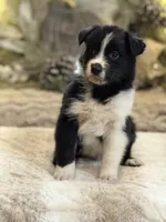 processed/5ee11d29-23ad-4780-b2f0-213b3353dc56/listing/977ad323-9ae9-4d32-a70e-773ffc167440/0e6c2d18-8d88-42d3-ab54-d8d8b99bc611