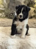 processed/5ee11d29-23ad-4780-b2f0-213b3353dc56/listing/977ad323-9ae9-4d32-a70e-773ffc167440/4480b9a7-8370-4c3d-952a-afa3bf30c581