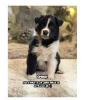 processed/5ee11d29-23ad-4780-b2f0-213b3353dc56/listing/977ad323-9ae9-4d32-a70e-773ffc167440/e1c3fcf8-5c5d-4b00-a9cd-7346637f2f3f