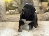 processed/5ee11d29-23ad-4780-b2f0-213b3353dc56/listing/cfd82472-af81-43c8-b4a1-f5d5503ddf70/02cfda91-4faa-4d70-8a73-07d492015765